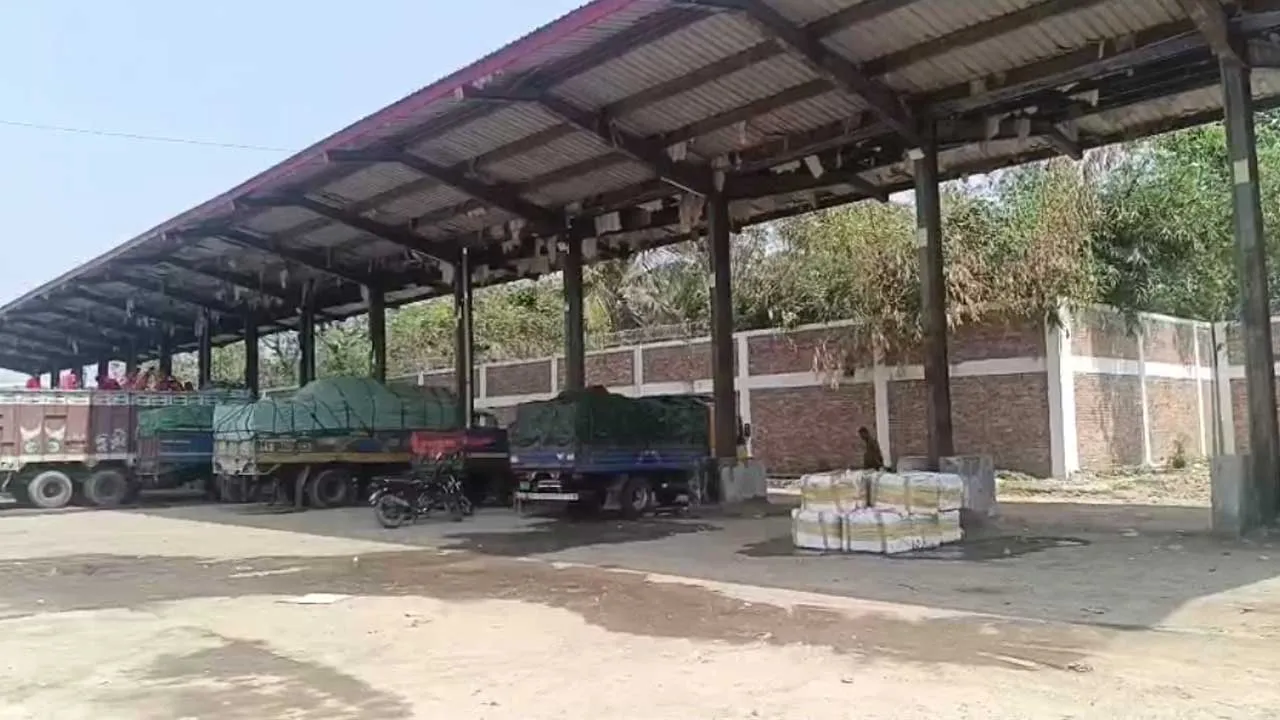 বেনাপোলে মিথ্যা ঘোষণায় আমদানি করা মাছের চালান জব্দ