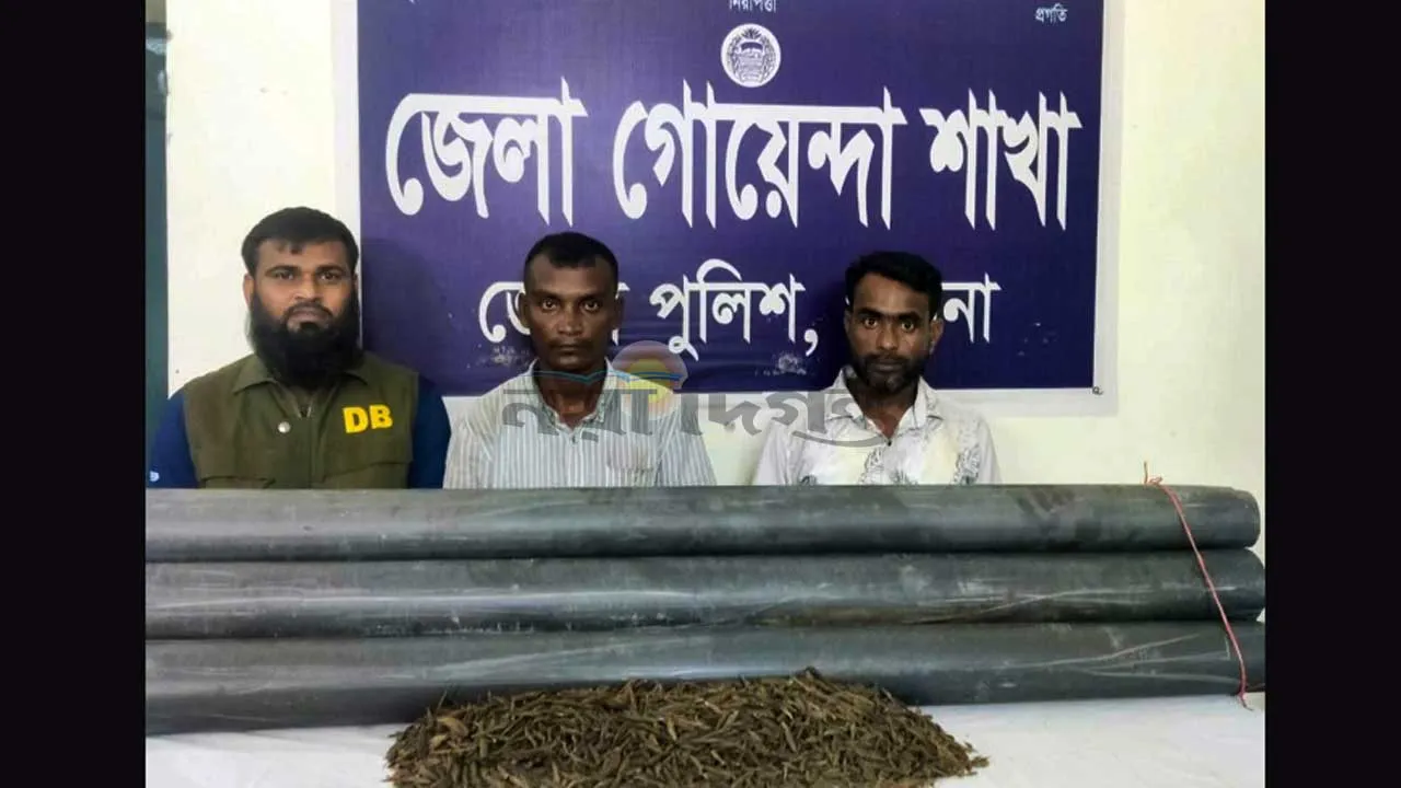 পাবনায় ১৮ কেজি গাঁজাসহ দুই মাদক কারবারি গ্রেফতার