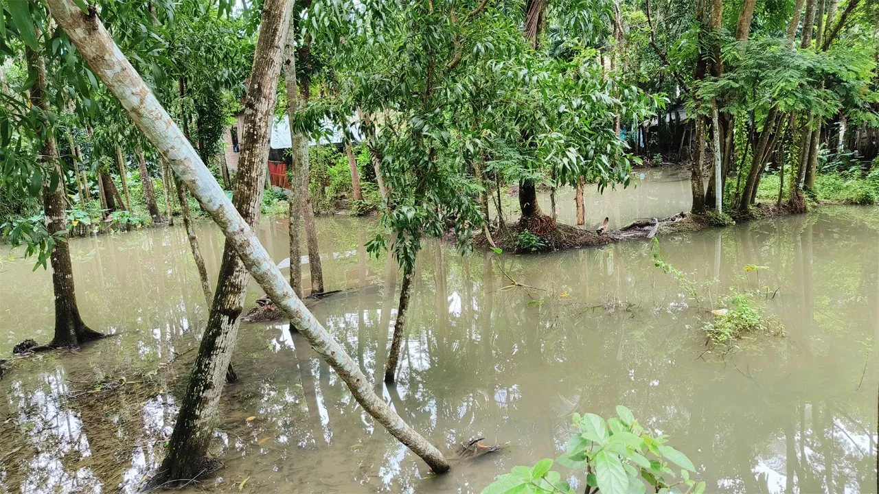 টানা বর্ষণে বেতাগী পৌরসভা ও নিম্নাঞ্চলে পানিবন্দি শতাধিক পরিবার