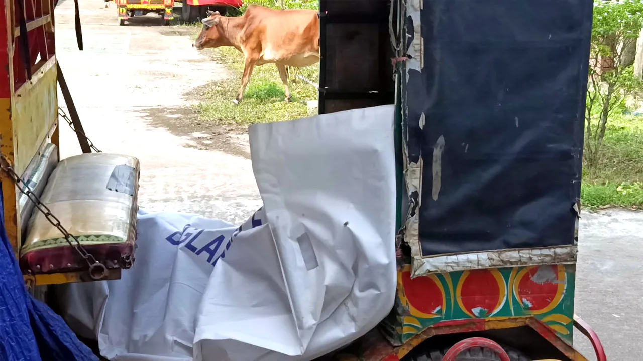 লালমোহনে খাল থেকে বাকপ্রতিবন্ধী কিশোরের লাশ উদ্ধার
