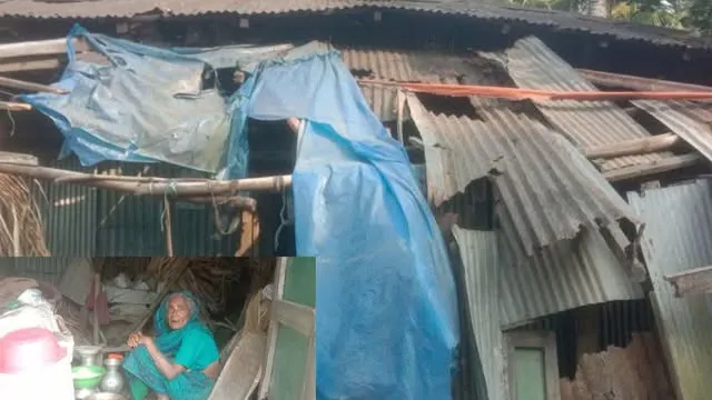 জরাজীর্ণ ঝুপড়ি ঘরেই অসহায় জায়েদার বসবাস