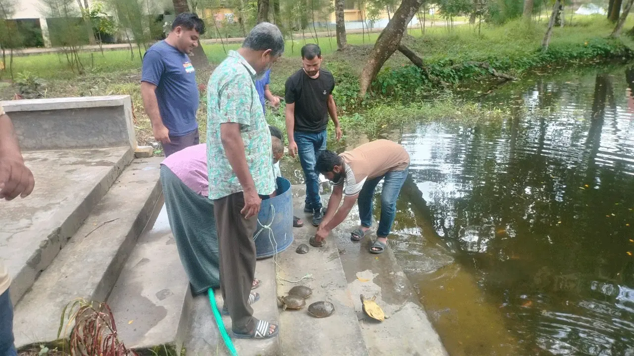 পাচারের উদ্দেশ্যে রাখা ৩২টি কচ্ছপ উদ্ধার করেছে বন বিভাগ