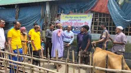 ভূরুঙ্গামারীতে কোরবানি দাতাদের দুঃশ্চিন্তা কমাচ্ছে ভেটেরিনারি মেডিক্যাল টিম