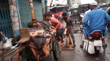 বগুড়ায় এবারো সরকার নির্ধারিত দামে চামড়া বিক্রি হয়নি