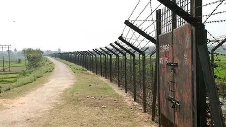 এক মাসে মহেশপুর সীমান্তে ভারতীয় নারীসহ ২৪৪ জন আটক