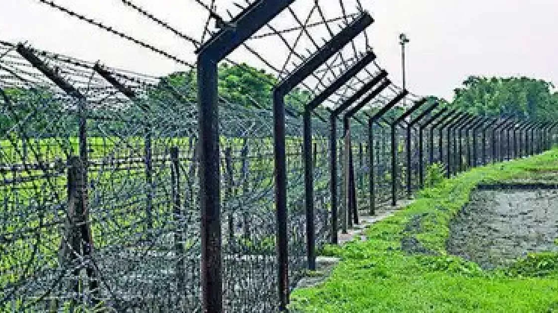 বড়লেখা সীমান্তে বিজিবির গুলিতে ভারতীয় চোরাকারবারি আহত