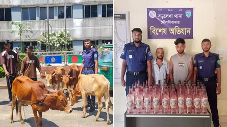 বড়লেখায় ভারতীয় গরু ও দেশীয় মদসহ গ্রেফতার ৪