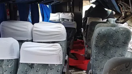 ব্রাজিলে বাস নিয়ন্ত্রণ হারিয়ে নিহত ১৭