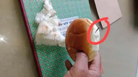 মেলান্দহে স্কুল ফিডিংয়ের খাবারে সুই!