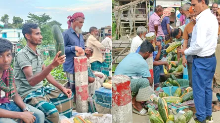 মানিকগঞ্জে মহাসড়কের পাশে জমজমাট বাঙ্গির হাটে প্রাণচাঞ্চল্য