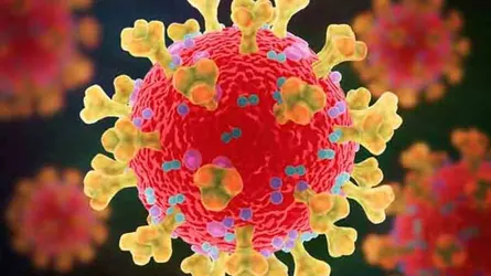 ফের করোনা আতঙ্ক, সিঙ্গাপুর-হংকংয়ে লাফিয়ে বাড়ছে সংক্রমণ