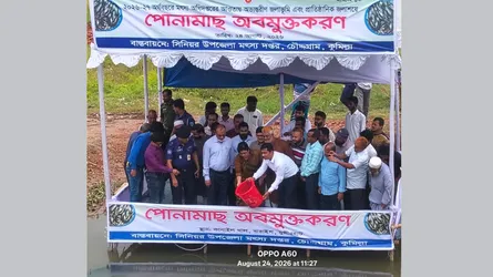 চৌদ্দগ্রামে মাছের পোনা অবমুক্ত করলেন জেলা প্রশাসক