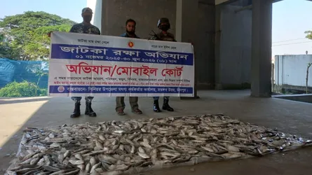 মেঘনায় যাত্রীবাহী লঞ্চ থেকে ২৫০ কেজি জাটকা উদ্ধার