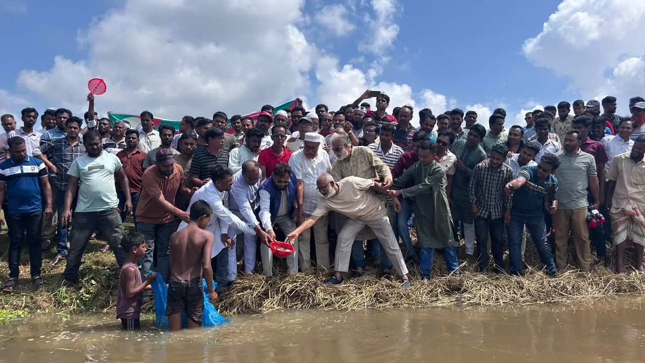 তাড়াশে যুবদল নেতার অর্থায়নে উন্মুক্ত জলাশয়ে ৫০ মণ মাছের পোনা অবমুক্ত