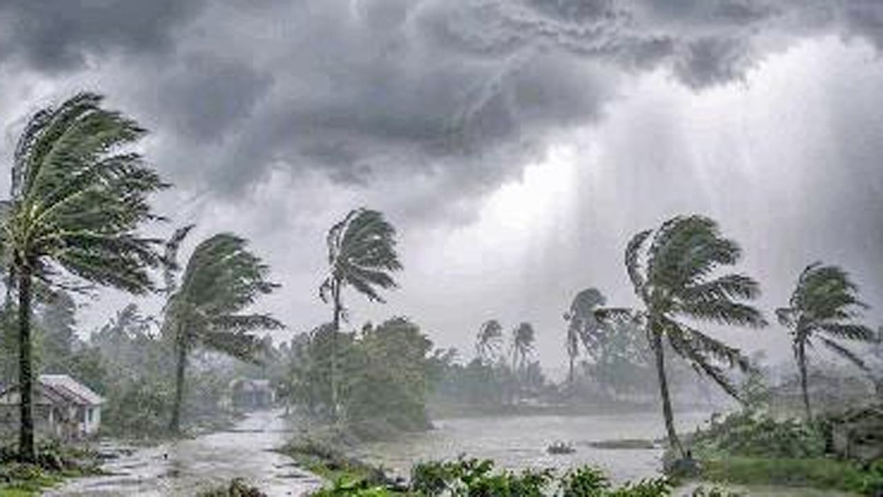 Chance-of-gusty-winds-and-thunderstorms