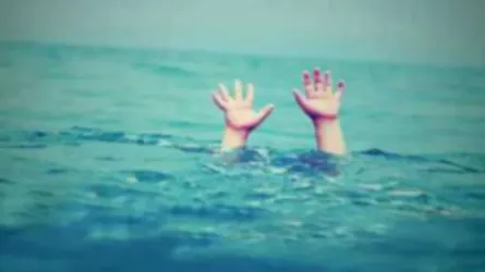 বারাশিয়া নদীতে পড়ে নিখোঁজ ২ বছরের শিশু