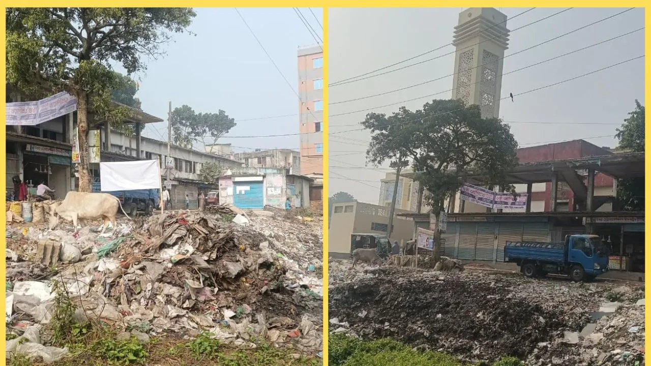 মতলব উত্তরে বিদ্যালয় ও মসজিদের ফটকে ময়লার ভাগাড়, স্বাস্থ্যঝুঁকিতে শিক্ষার্থীরা