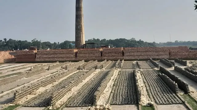 মতলব উত্তরে চলছে অবৈধ ইটভাটা, বাড়ছে পরিবেশ ঝুঁকি