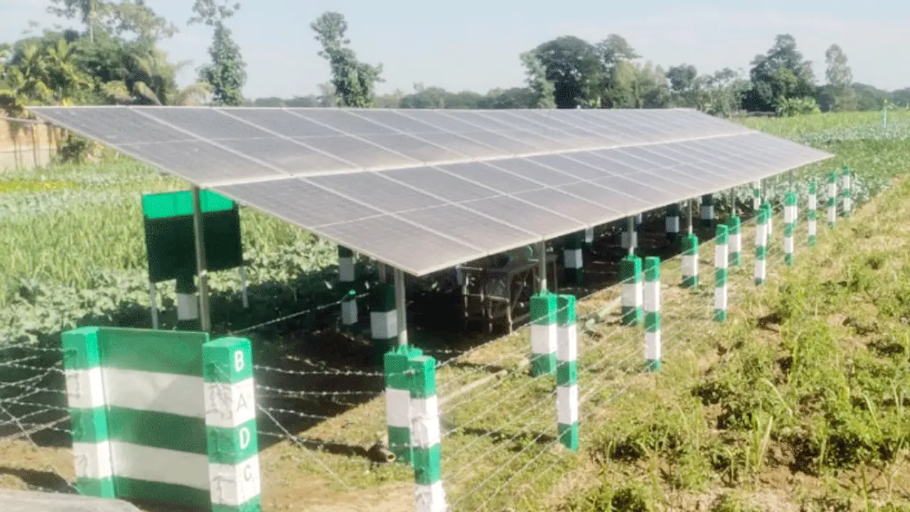 সেচের আওতায় ৩৬০০ হেক্টর জমি, উৎপাদন বৃদ্ধি পাবে ২০ হাজার টন
