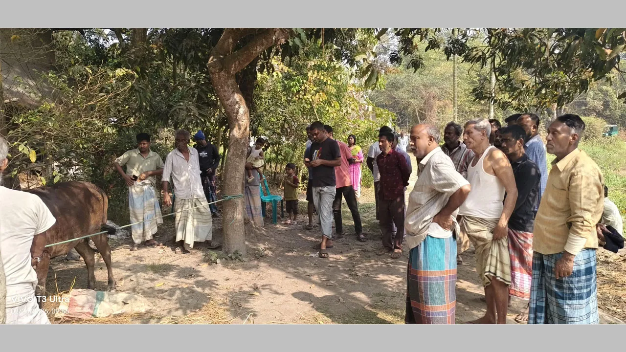 কৃষকের বাড়ি থেকে গরু লুট, বাধা দেয়ায় গৃহকর্তাকে গুলি করে হত্যা