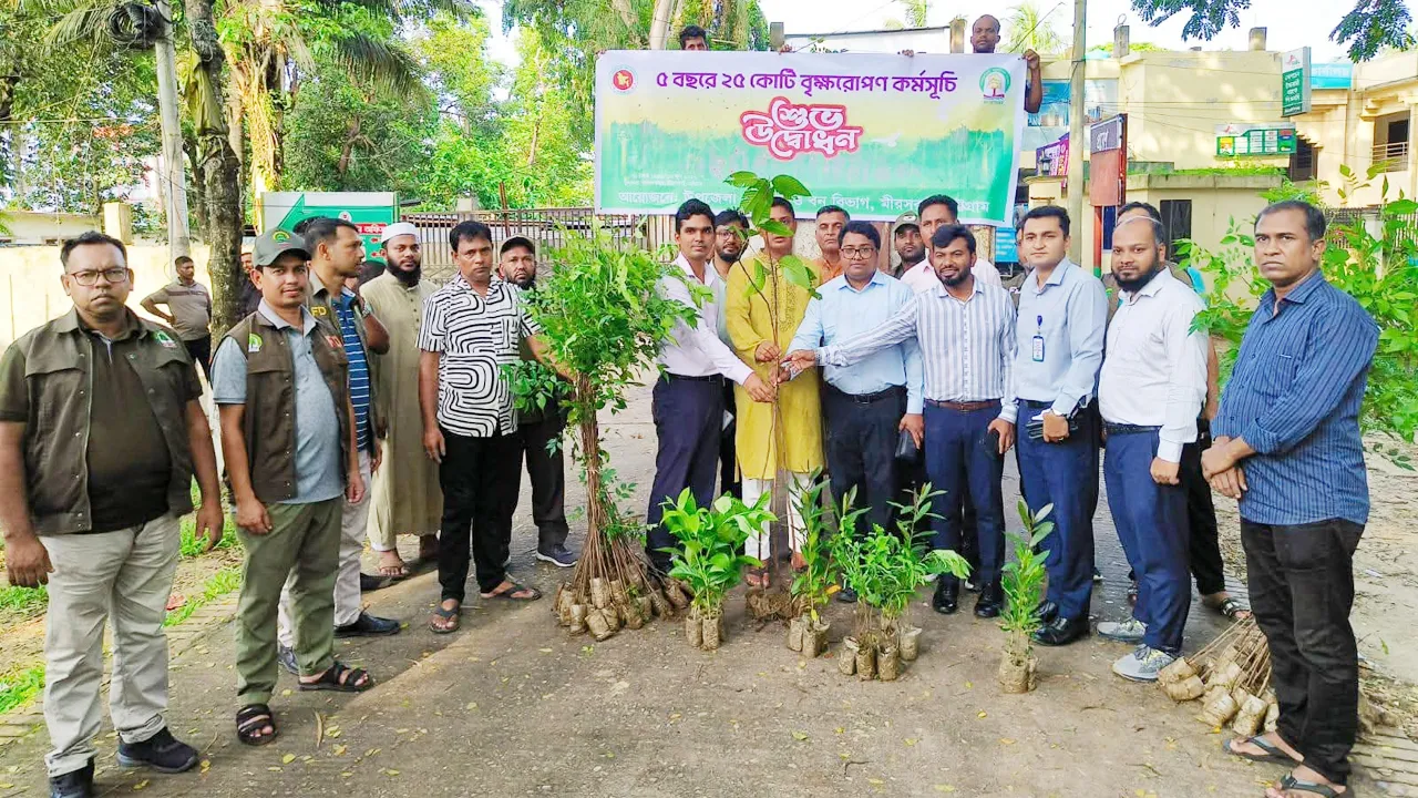 মিরসরাইয়ে বৃক্ষরোপণ কর্মসূচির উদ্বোধন