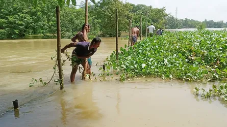চৌদ্দগ্রামে কানাইল নদীর অবৈধ বাঁশের বেড়া অপসারণ, দ্রুত নামছে উজানের পানি