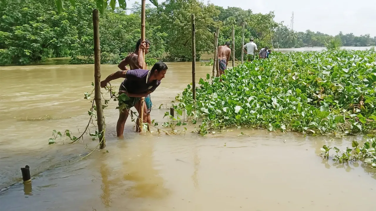 চৌদ্দগ্রামে কানাইল নদীর অবৈধ বাঁশের বেড়া অপসারণ, দ্রুত নামছে উজানের পানি