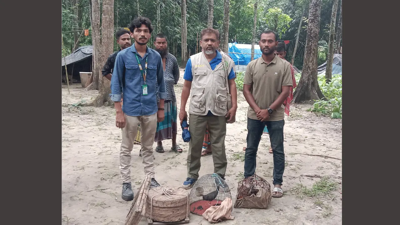চৌগাছায় ২ খৈয়া গোখরা সাপ ও ২ ডাহুক উদ্ধার, অবমুক্ত