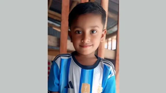 চৌগাছায় বাঁদরের খেলা দেখতে গিয়ে শিশু নিহত