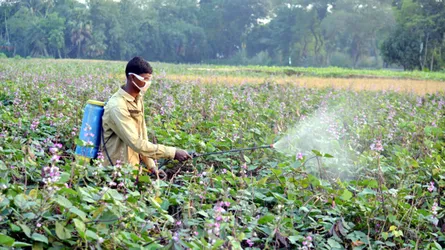 কীটনাশকের বাজারে সিন্ডিকেটের দৌরাত্ম্য