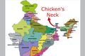 Chickens-neck