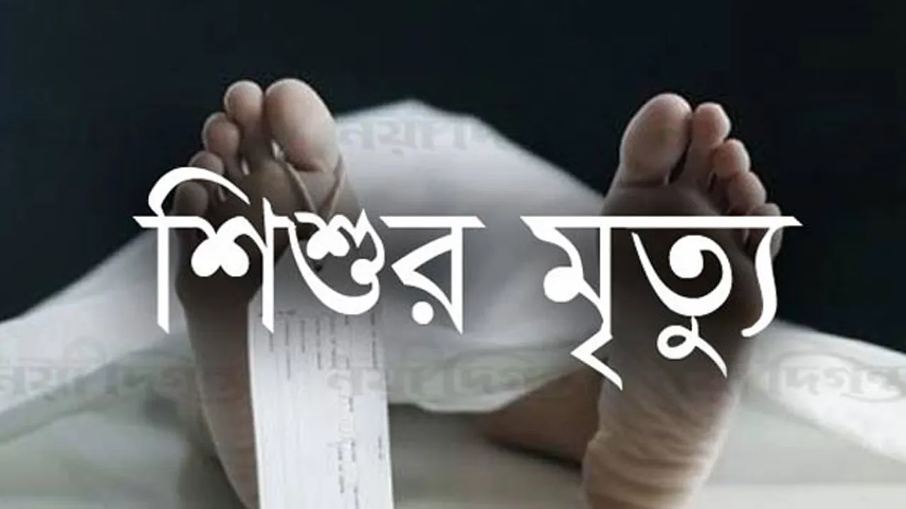বড়াইগ্রামে অটোভ্যানের চাপায় আহত শিশুর মৃত্যু