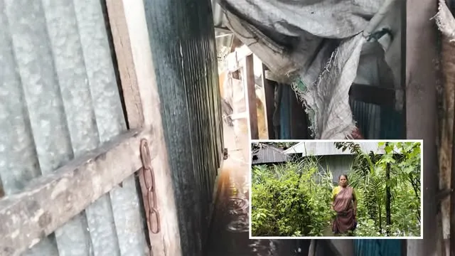 সাপ-ব্যাঙ, পোকামাকড় আর বৃষ্টির পানিতে বসবাস মেম্বার দিপ্তীর