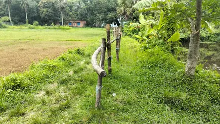 চৌদ্দগ্রামে চলাচলের সরকারি রাস্তায় বেড়া, ভোগান্তিতে ১৫ পরিবার