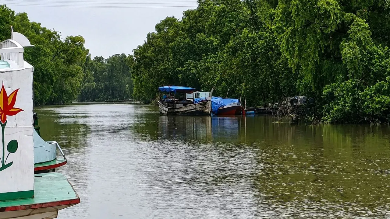 চরফ্যসনে ১৭৫ বস্তা সারসহ যুবক আটক