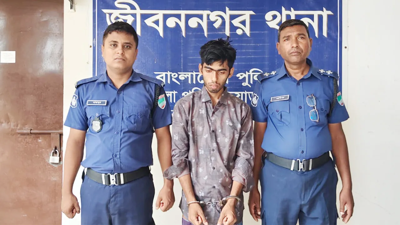 জীবননগরে স্ত্রীকে হত্যাচেষ্টার অভিযোগে স্বামী আটক