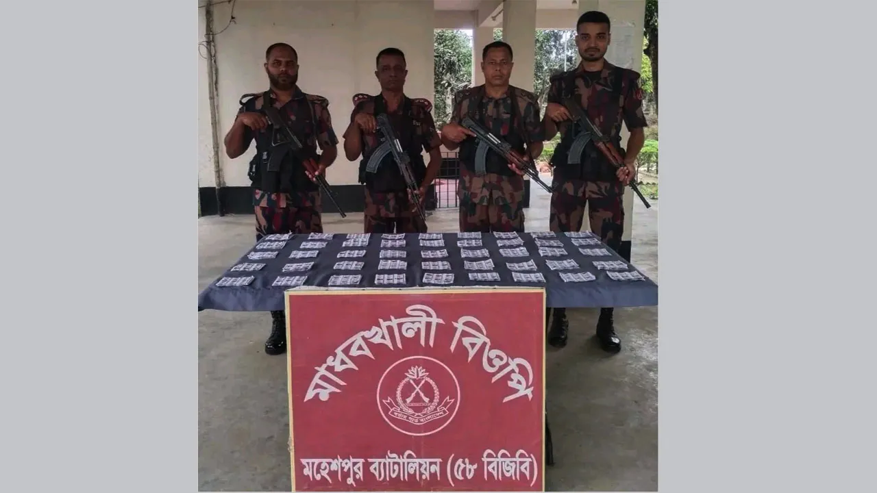 চুয়াডাঙ্গা সীমান্তে বিজিবির অভিযানে ভারতীয় ওষুধ ও মাদকদ্রব্য জব্দ