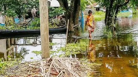 সামান্য বৃষ্টিতেই জলাবদ্ধতা, জীবননগরে পানিবন্দী অর্ধশত পরিবার