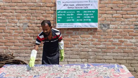 চুয়াডাঙ্গায় মাছের আঁইশ রফতানিতে আয় হচ্ছে বৈদেশিক মুদ্রা