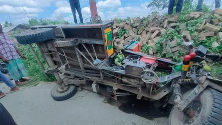জীবননগরে আলমসাধুর ধাক্কায় ভ্যানচালক নিহত