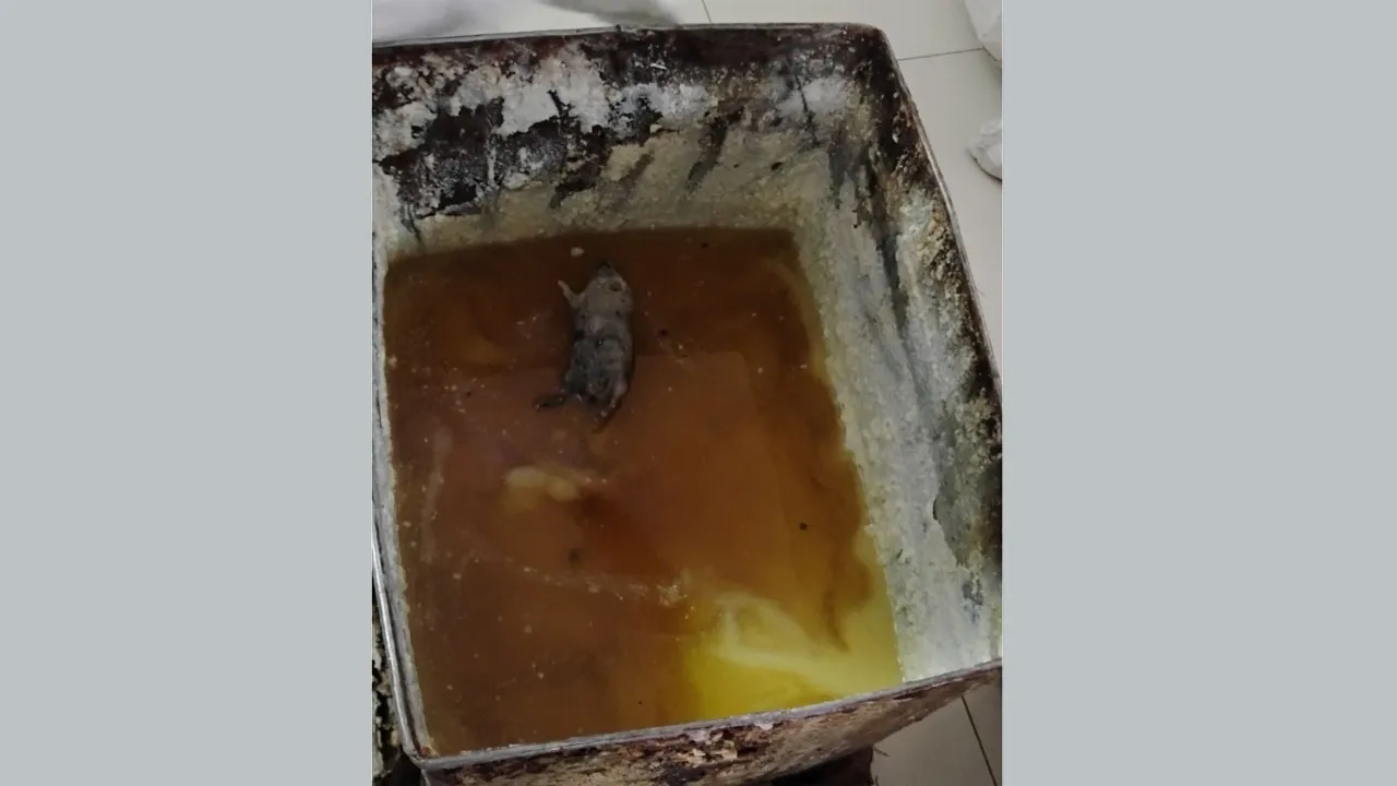 চুয়াডাঙ্গায় বেকারির ডালডায় মৃত ইঁদুর, দেড় লাখ টাকা জরিমানা