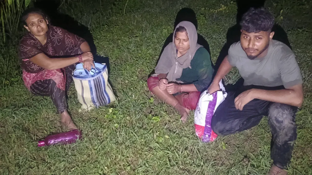 জীবননগর সীমান্তে বিএসএফের পুশ-ইন চেষ্টা, বিজিবি-এর প্রতিহত
