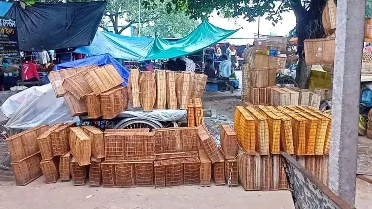 চুয়াডাঙ্গায় বর্ষায় জমে উঠেছে মাছ ধরার ফাঁদ ‘বিত্তি’