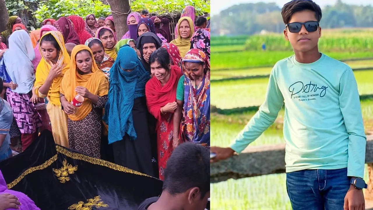 চুয়াডাঙ্গায় সাপের দংশনে কিশোরের মৃত্যু