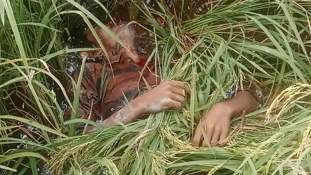 চুনারুঘাটে ধানক্ষেত থেকে যুবকের রক্তাক্ত লাশ উদ্ধার