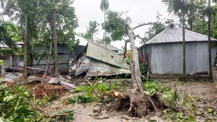 দেশের মাথাপিছু জলবায়ু ঋণের পরিমাণ ৮০ ডলার