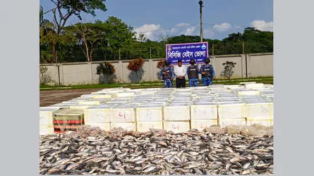 ভোলায় কোস্ট গার্ডের অভিযানে ৯৪ লাখ টাকার ইলিশ মাছ জব্দ