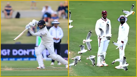 কনওয়ের ডাবল সেঞ্চুরিতে রানের পাহাড়ে নিউজিল্যান্ড