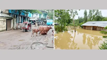 চকরিয়ায় কমতে শুরু করেছে বন্যার পানি, ভেসে উঠছে ক্ষতচিহ্ন