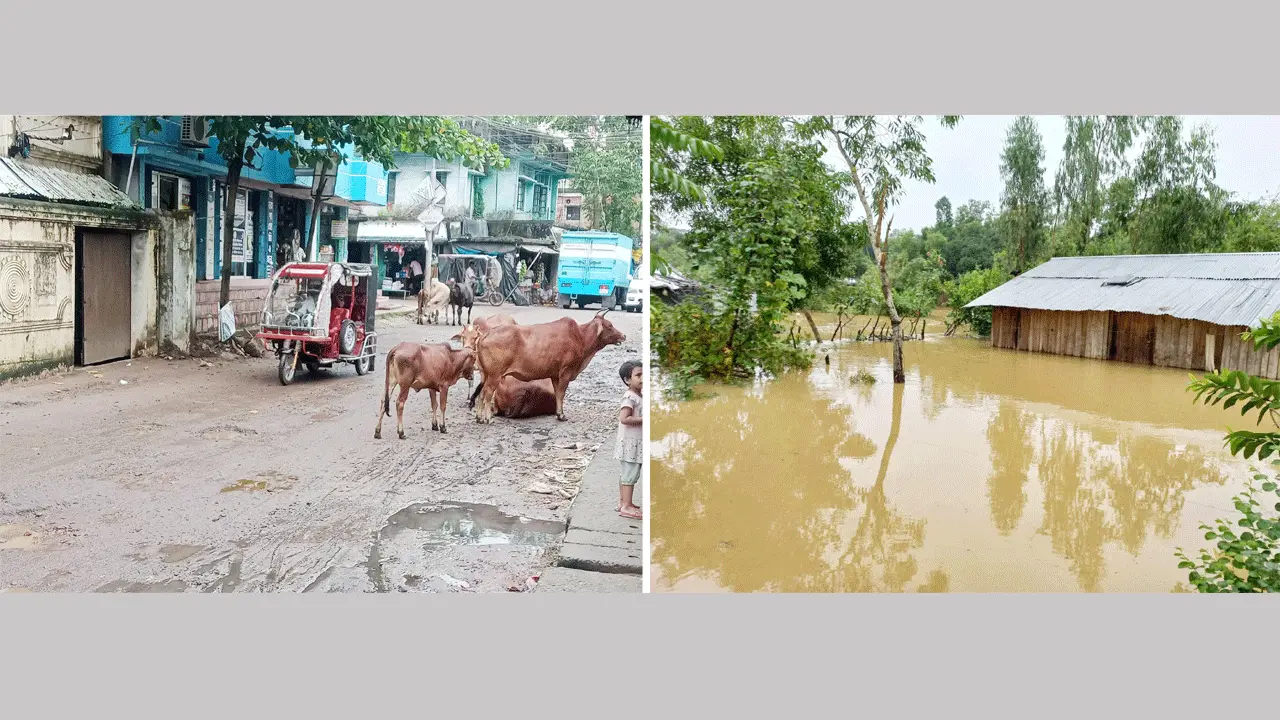 চকরিয়ায় কমতে শুরু করেছে বন্যার পানি, ভেসে উঠছে ক্ষতচিহ্ন